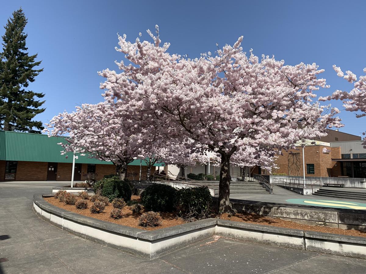 Evergreen High School in Vancouver